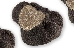Black Burgundy Truffle