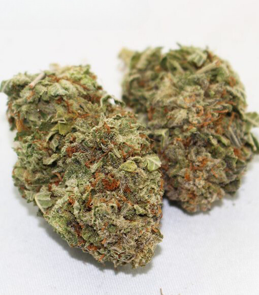 cracker jack strain